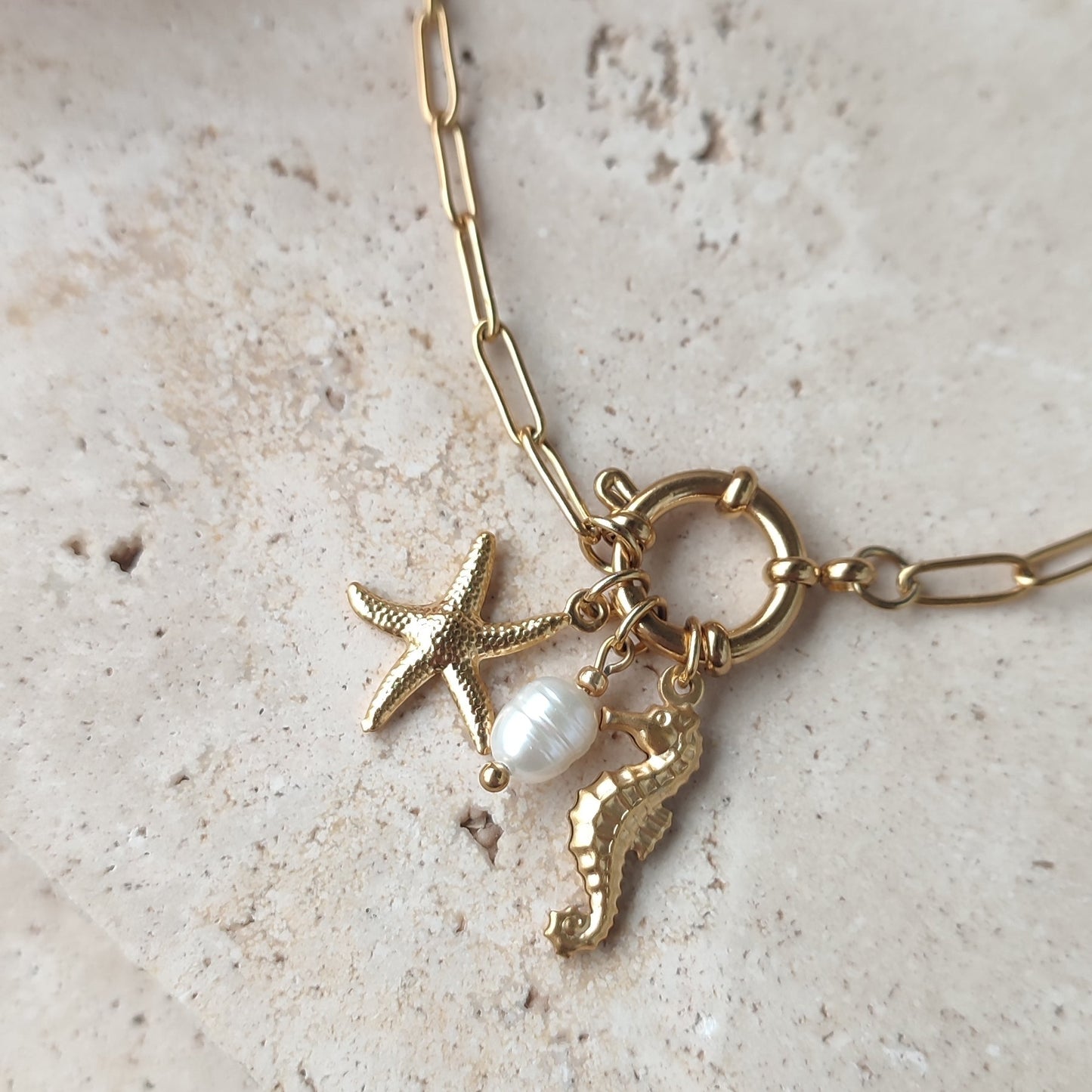 Chaine de cheville Charmy ; création