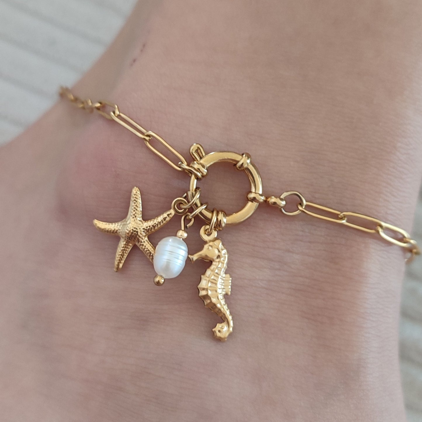 Chaine de cheville Charmy ; création