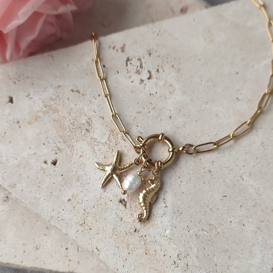 Chaine de cheville Charmy ; création