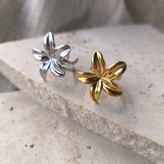 Bague Ania