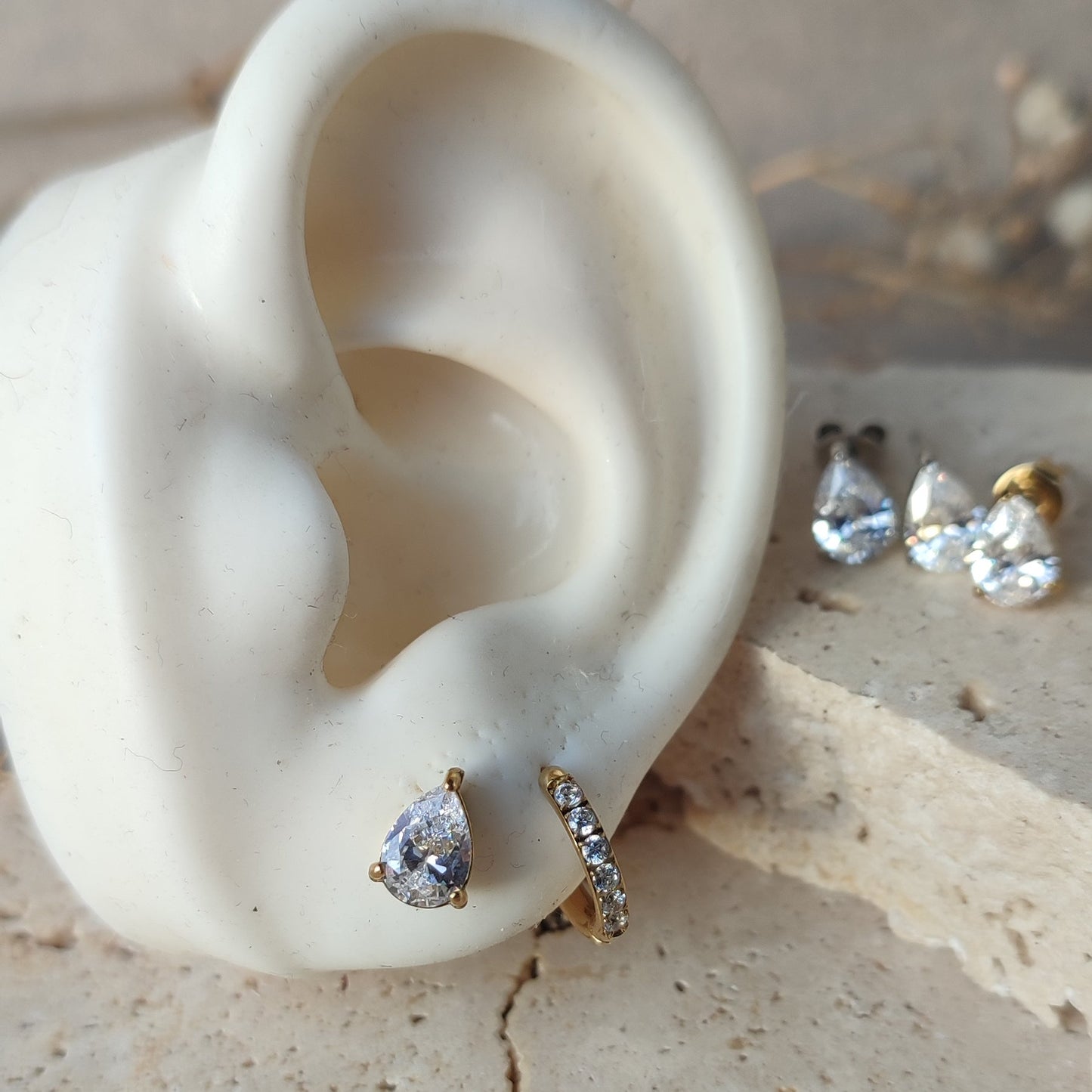 Puces d'oreilles Classia
