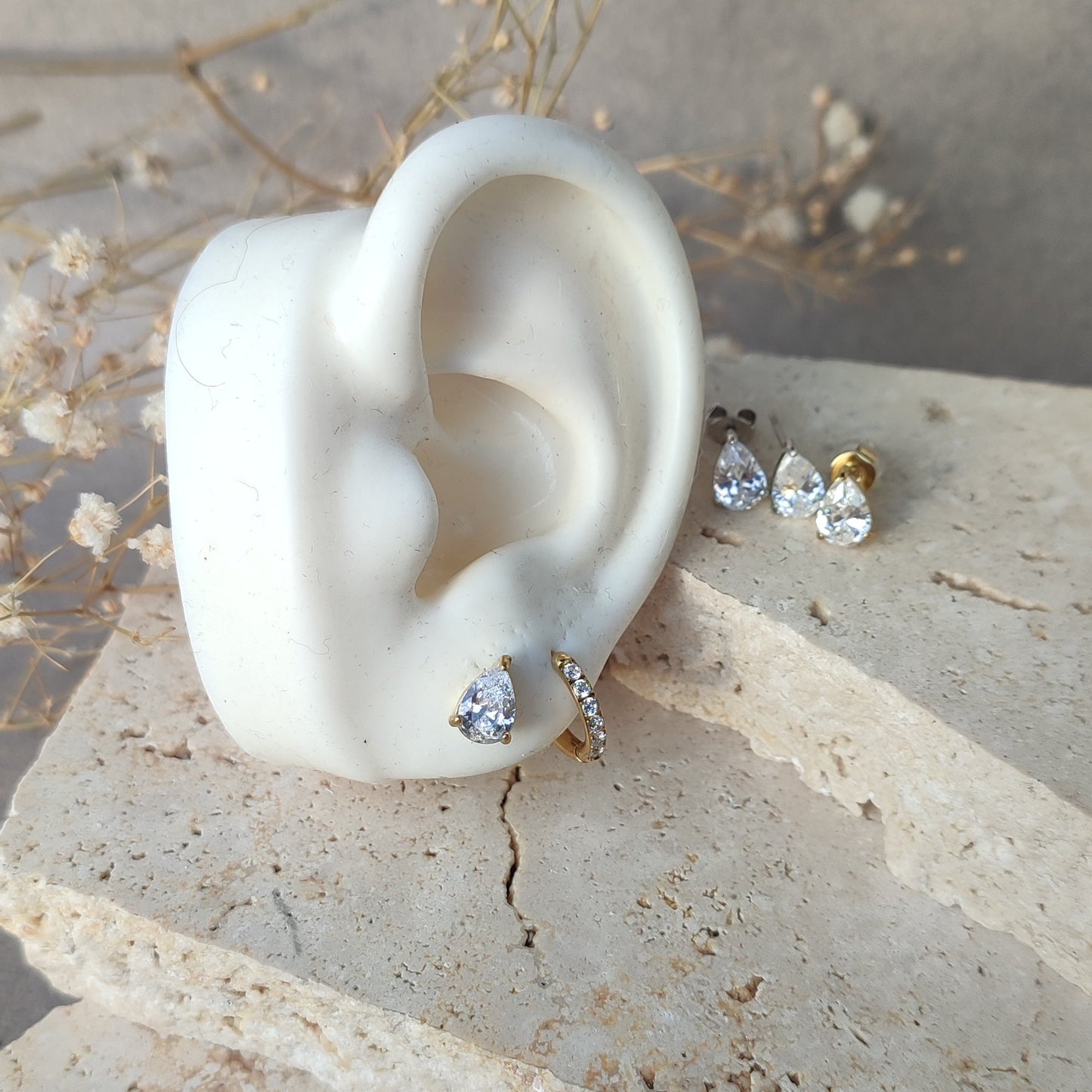 Puces d'oreilles Classia