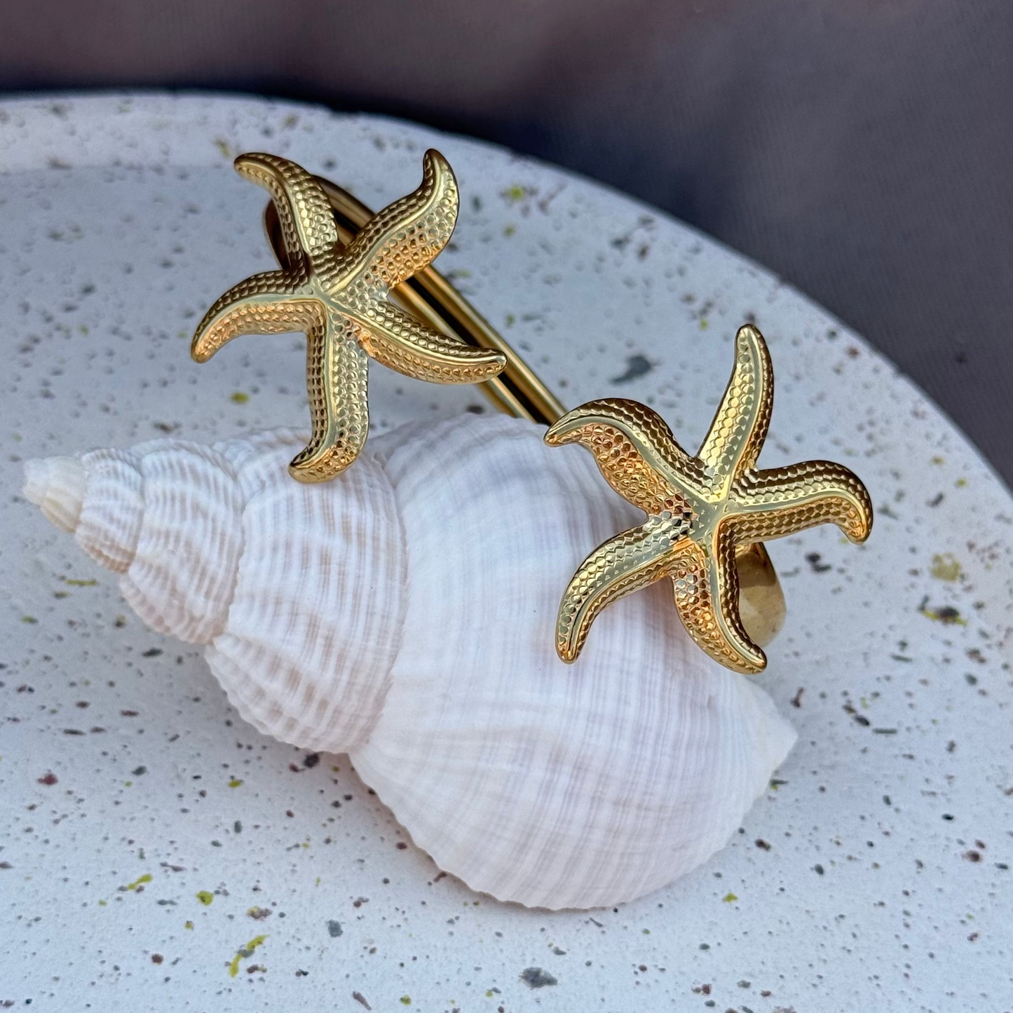 Jonc étoile de Mer